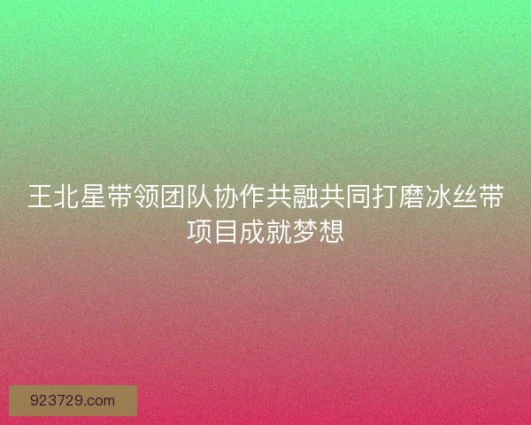 王北星带领团队协作共融共同打磨冰丝带项目成就梦想