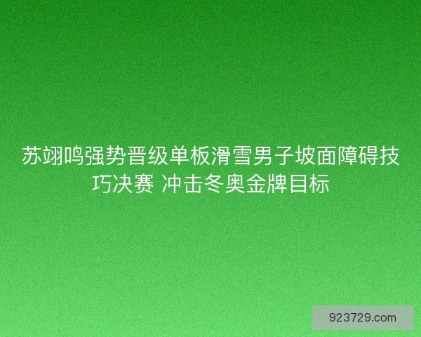 苏翊鸣强势晋级单板滑雪男子坡面障碍技巧决赛 冲击冬奥金牌目标